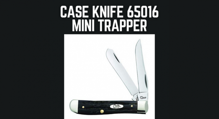 Case Knife Buffalo Horn Mini Trapper Jigged 65016